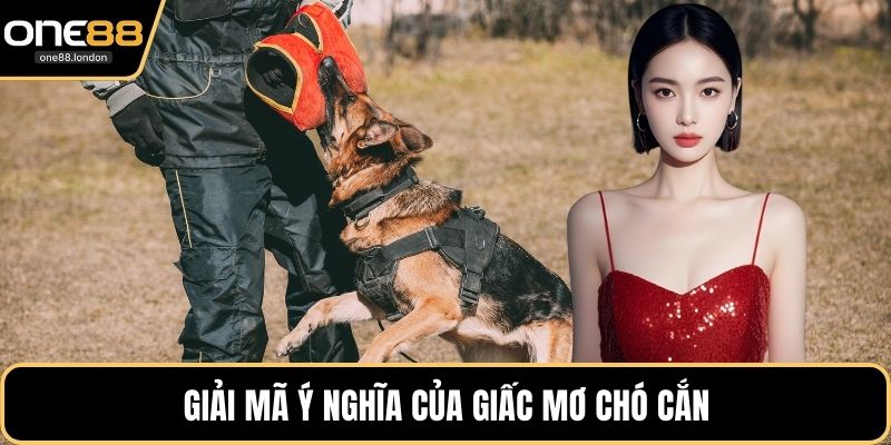 Giải mã ý nghĩa của giấc mơ chó cắn