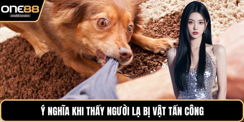 Ý nghĩa khi thấy người lạ bị vật tấn công